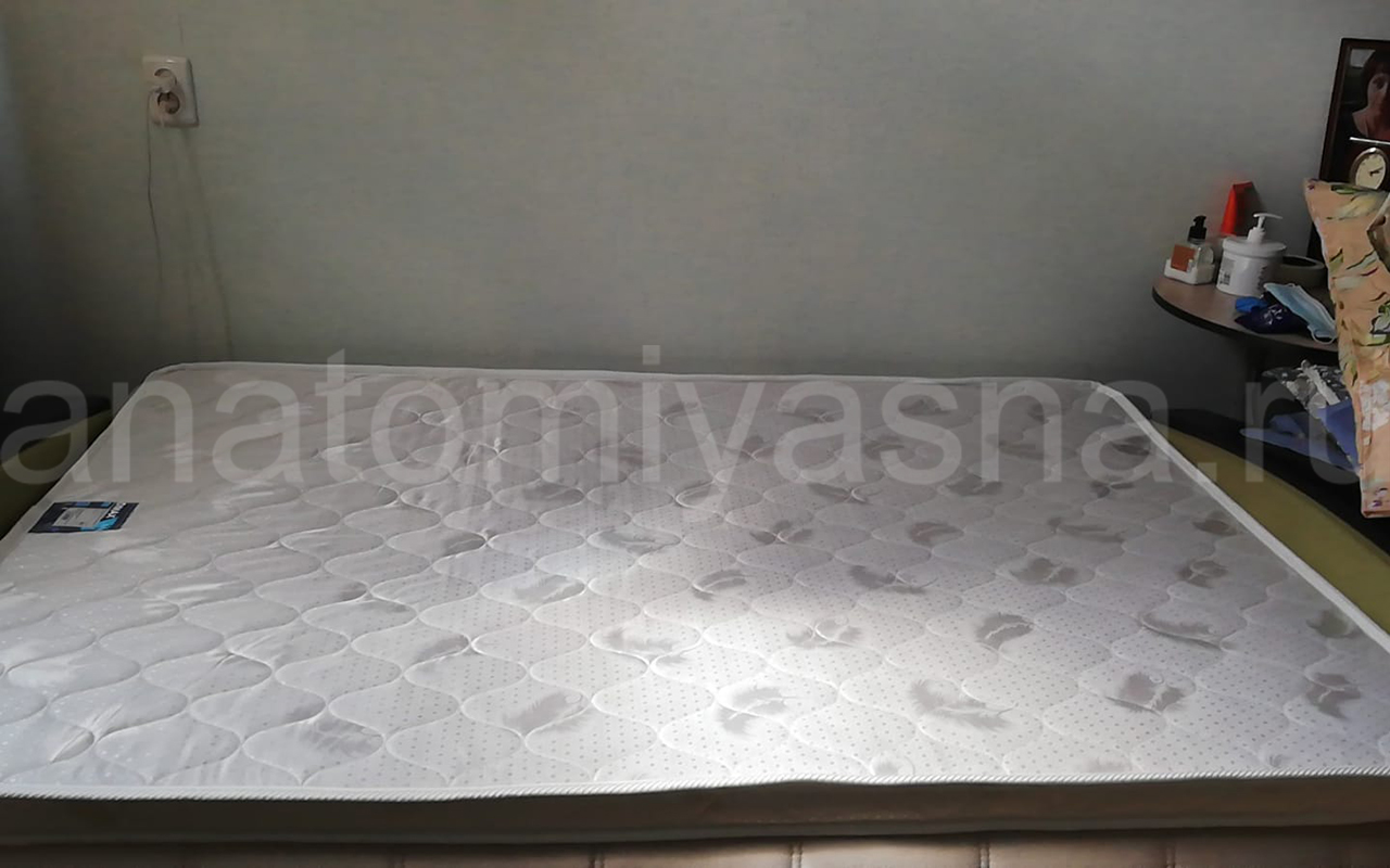 отзыв о Матрас Dimax Оптима ролл лайт